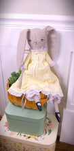 Load image into Gallery viewer, Bella Bunny Doll
